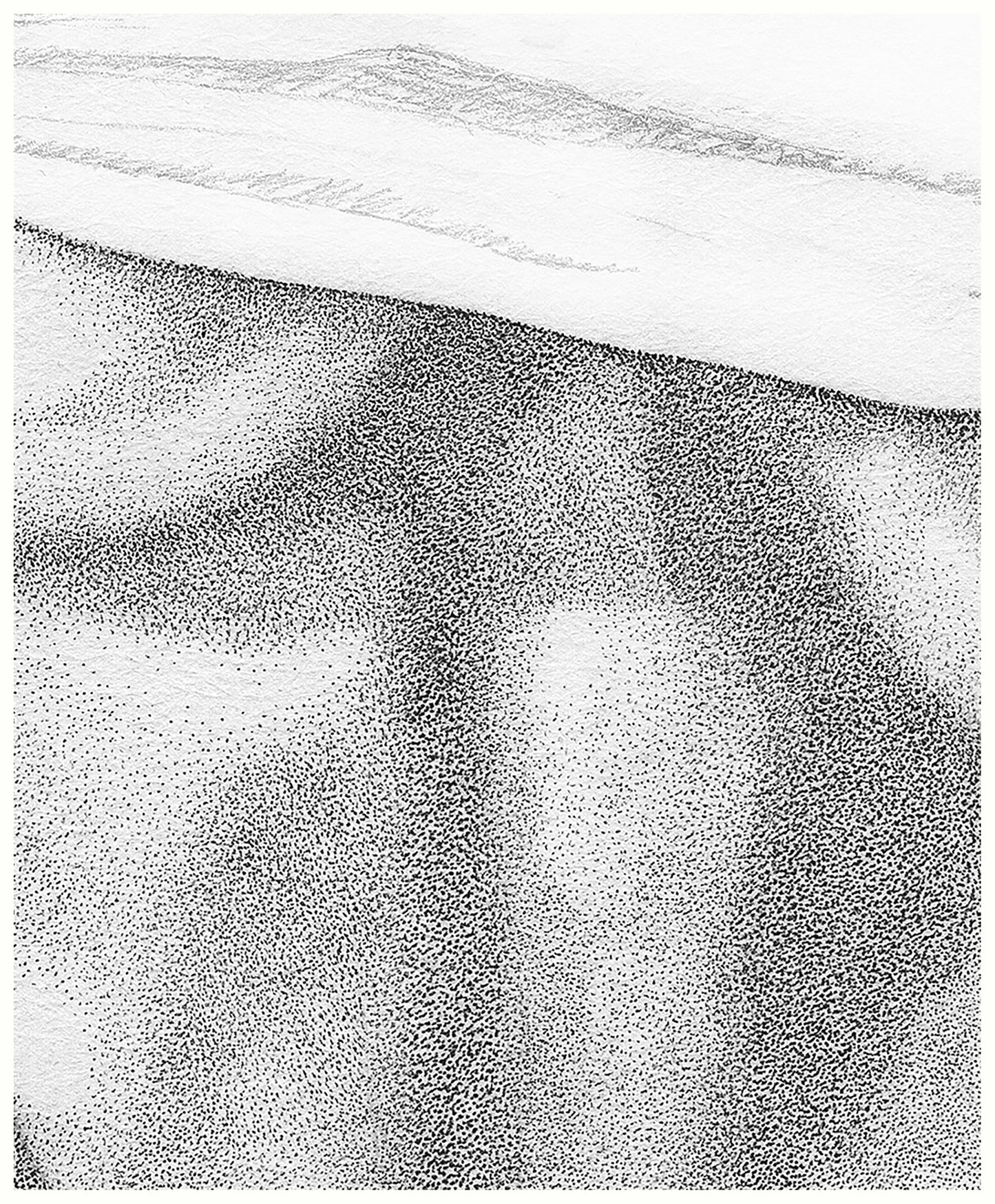 Stippling Series: Cheeky T-Shirt