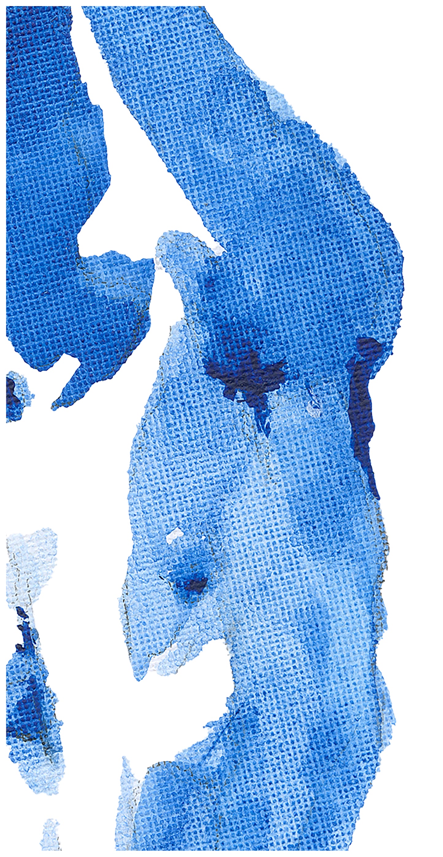 Blue Series: Male Nude