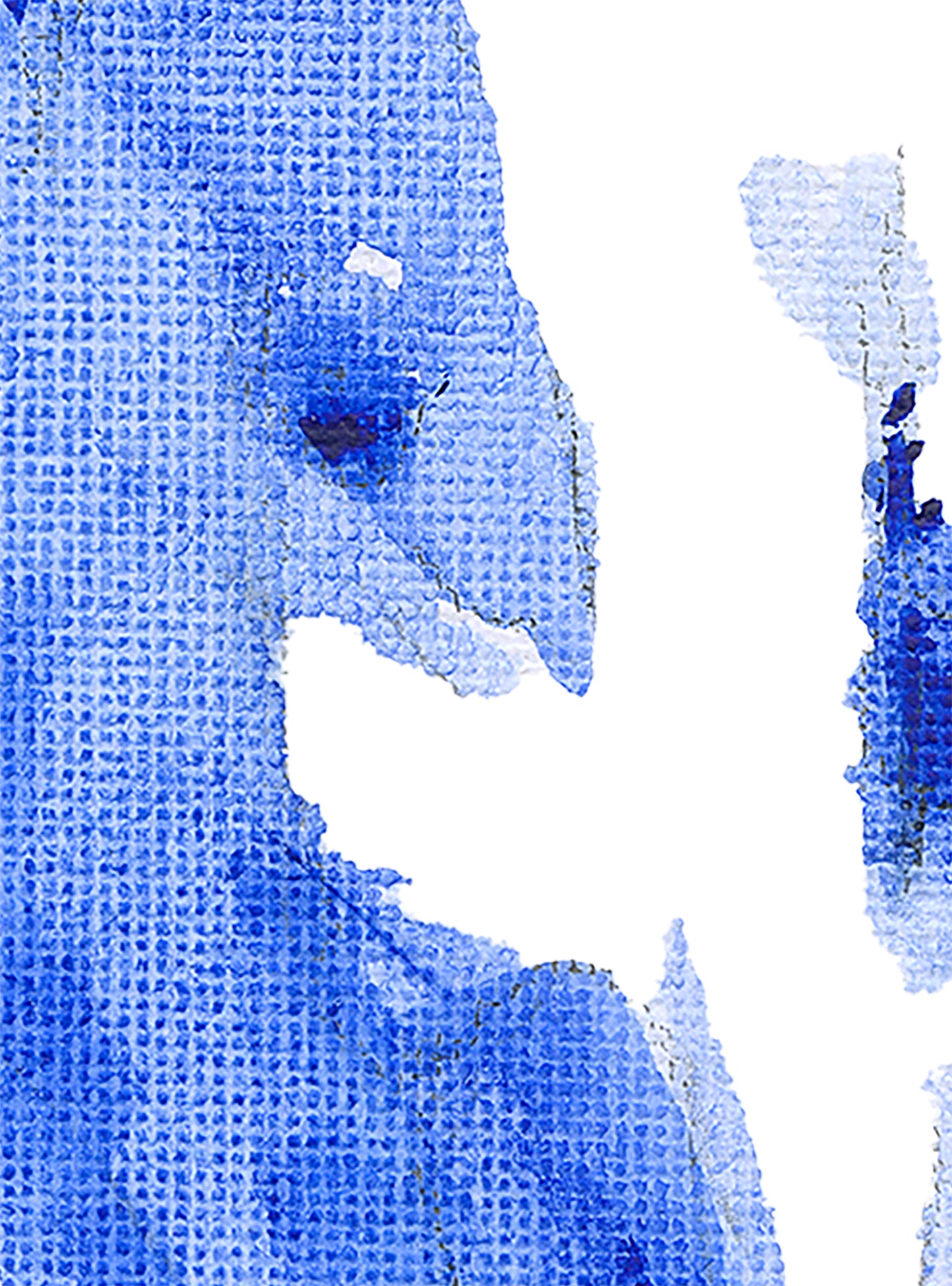 Blue Series: Male Torso