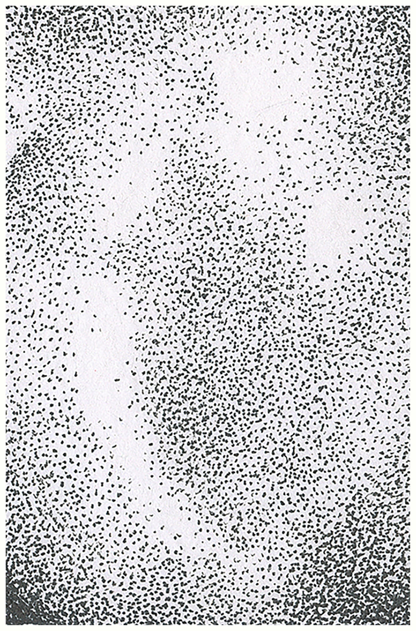 Stippling Series: Nude Bottom