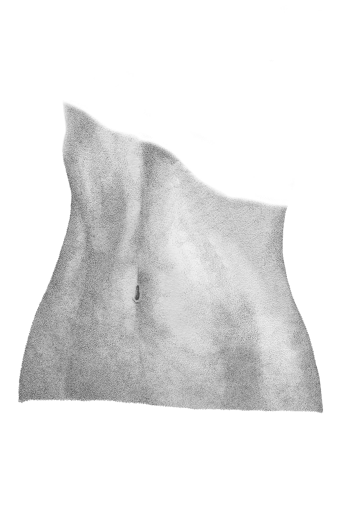 Stippling Series: Torso